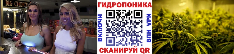 Бошки марихуана Amnesia  нарко площадка формула  Фокино 